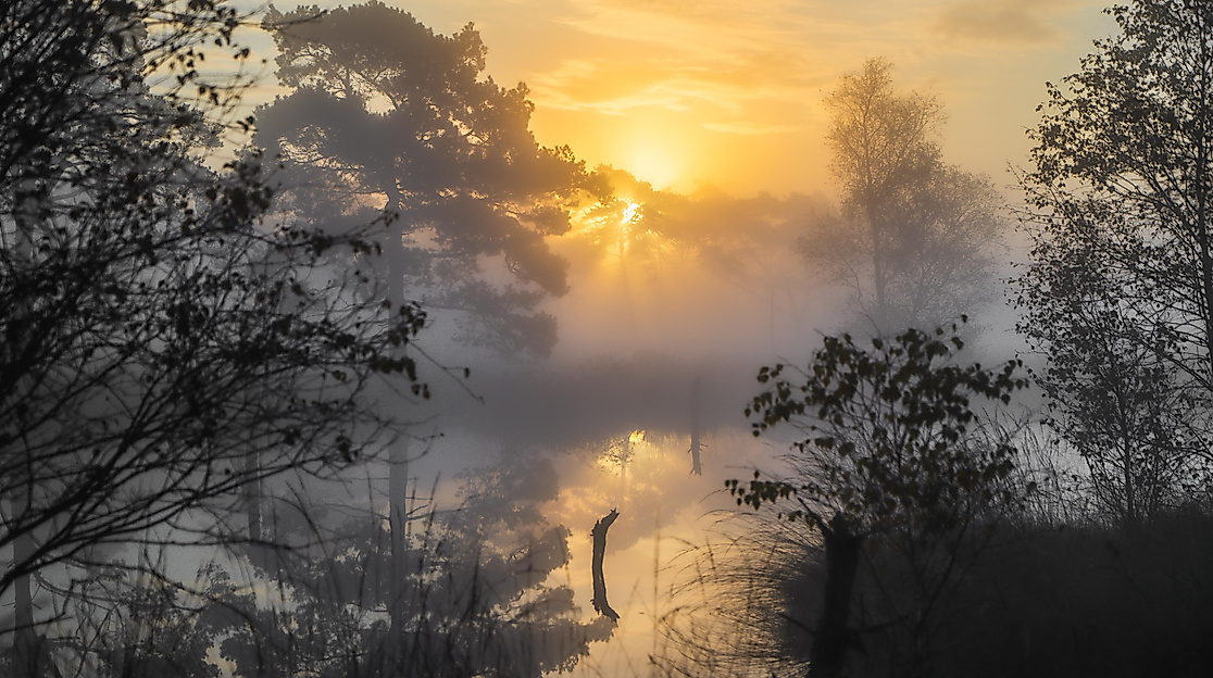 Morgendliche Wanderung durch das Pietzmoor