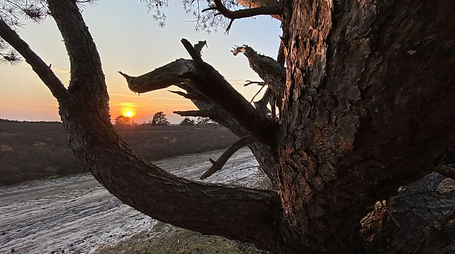 fassberg_hausselberg_sonnenuntergang_ccbysa_tl_20200427_4_2