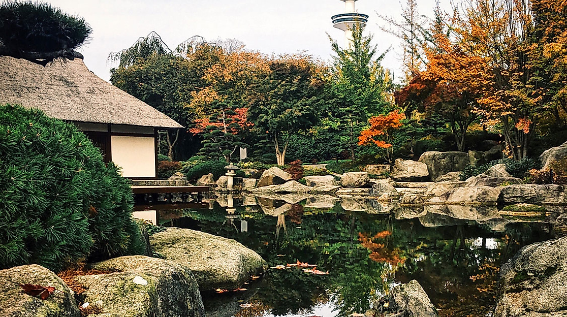 Japanisches Teehaus im herbstlich gefärbten Park Planten un Blomen am ruhigen Teichufer.