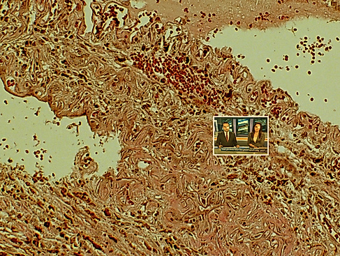 Bildgewalt im Netz – Book Launch und Critical Live Scrolling