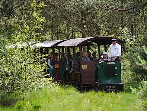 Nikolausfahrt der Moorbahn ins Tister Bauernmoor