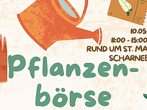 Pflanzenbörse rund um die Kirche