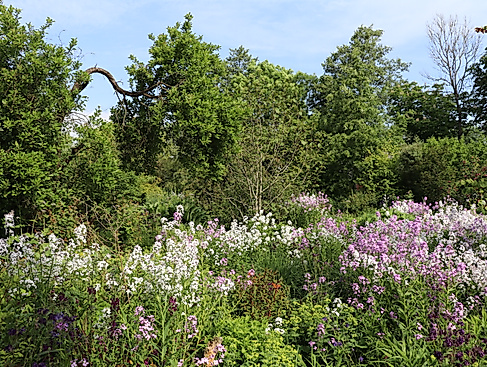 Mori-Garten-Odisheim