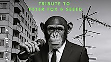 Stadtaffen - Tribute to Peter Fox & SEEED