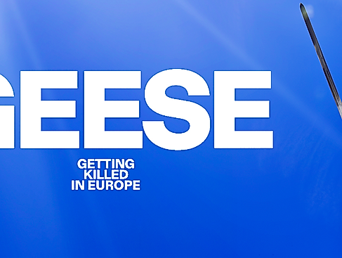 Geese - Getting Killed in Europe