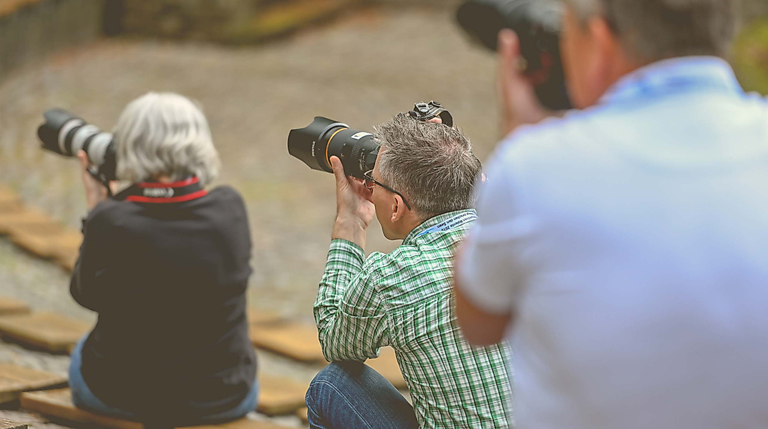 Fotoworkshop "Kreative Naturfotografie"