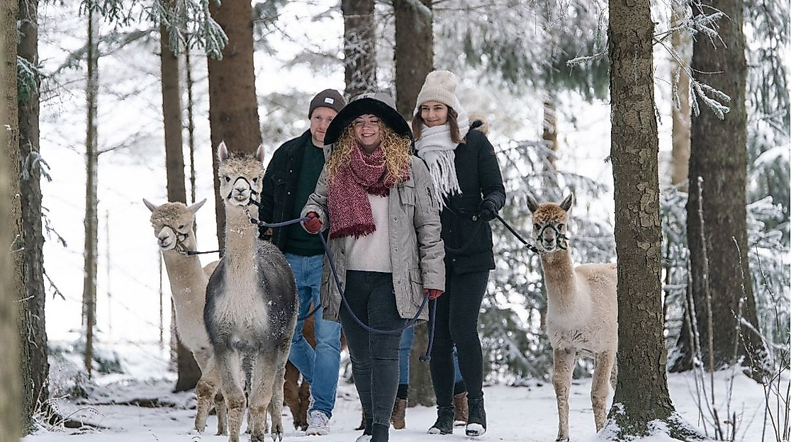 Waytalla-Alpakas-Winter-Spezial-Wanderung-Punsch