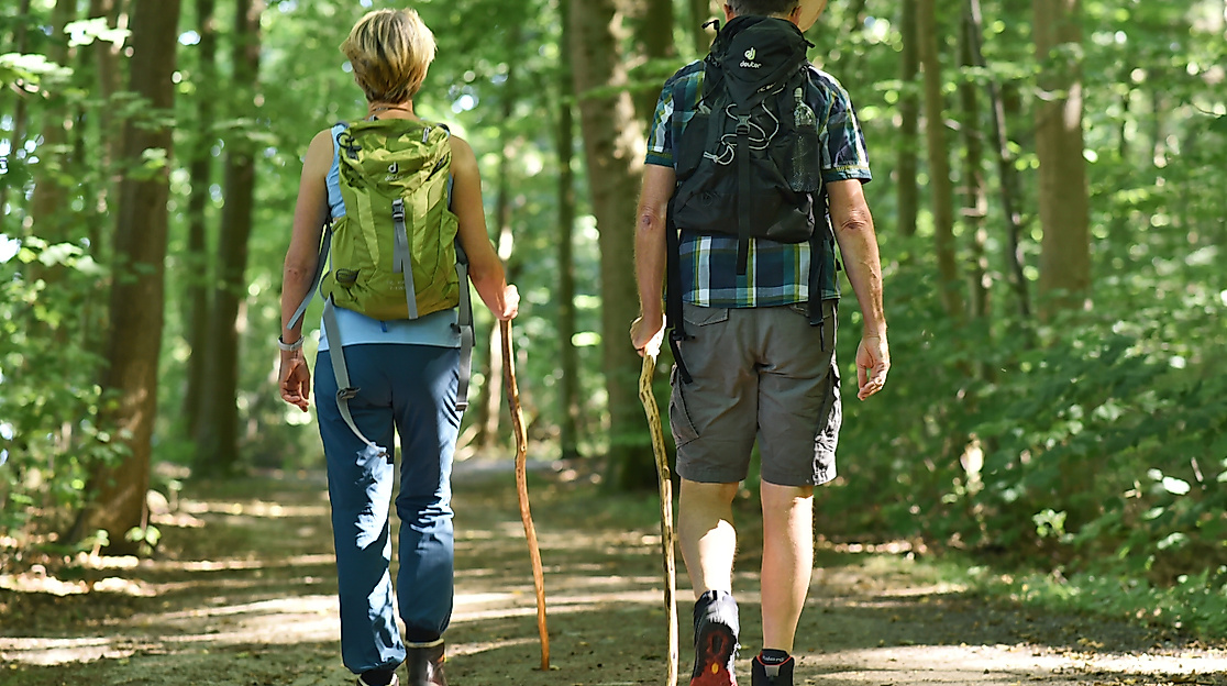 Pilgern durch die Jahreszeiten