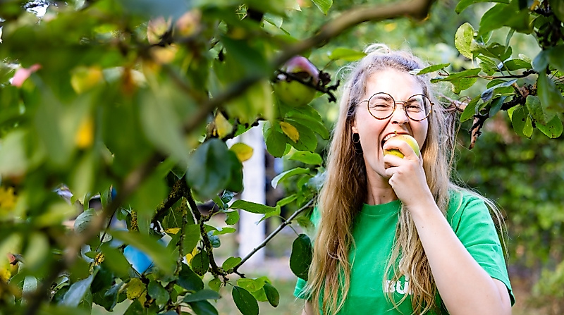 Erntefest BUND HH Joerg Farys