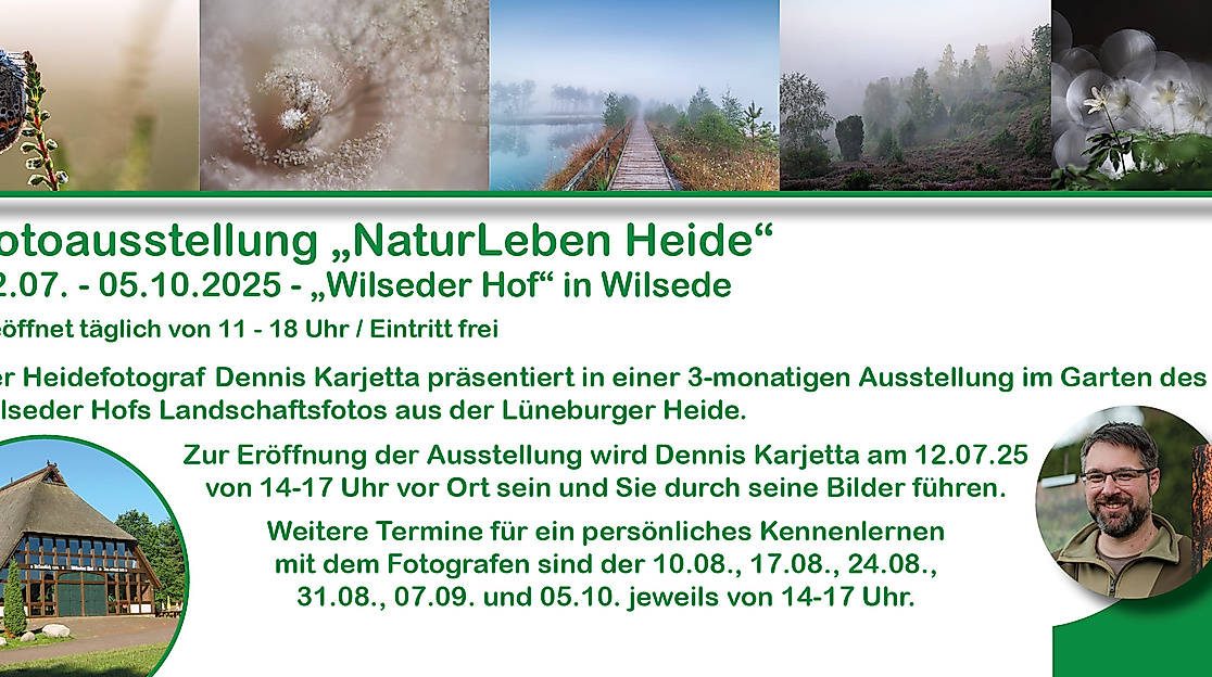 Flyer Wilseder Hof Ausstellung 2025 hinten
