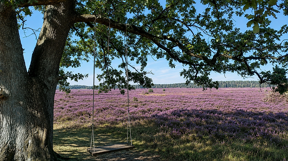 Feierabendwanderung zum Herbstanfang in der Döhler Heide