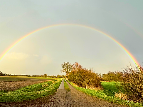 Wendlandschaft-mit-Regenbogen_c_Sigrun-Kreuser