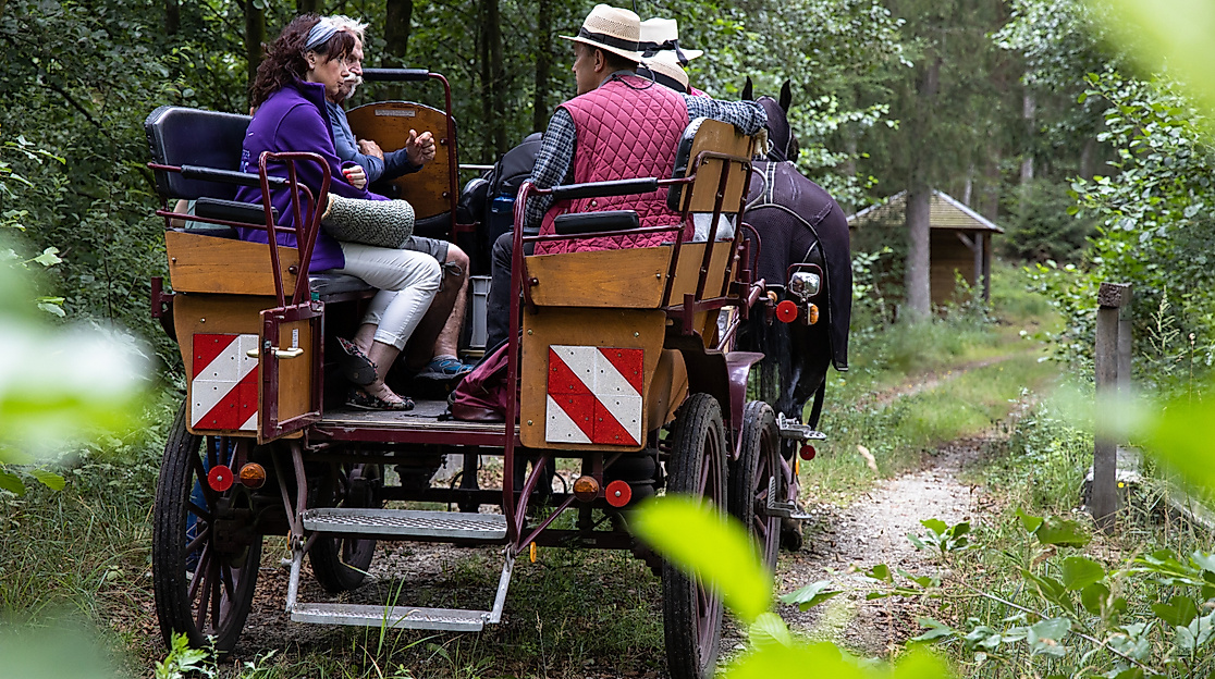 Komfortables "Reisen" auf der luftgefederten Wagonette