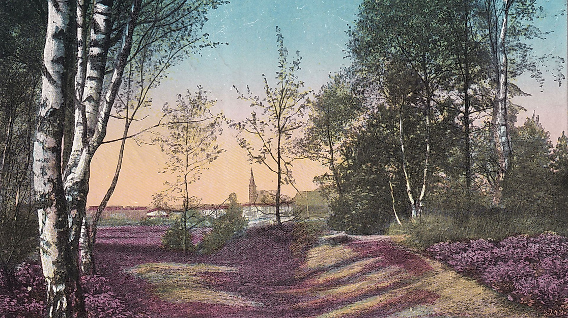 Mit August Freudenthal auf „Heidefahrt“ nach Soltau