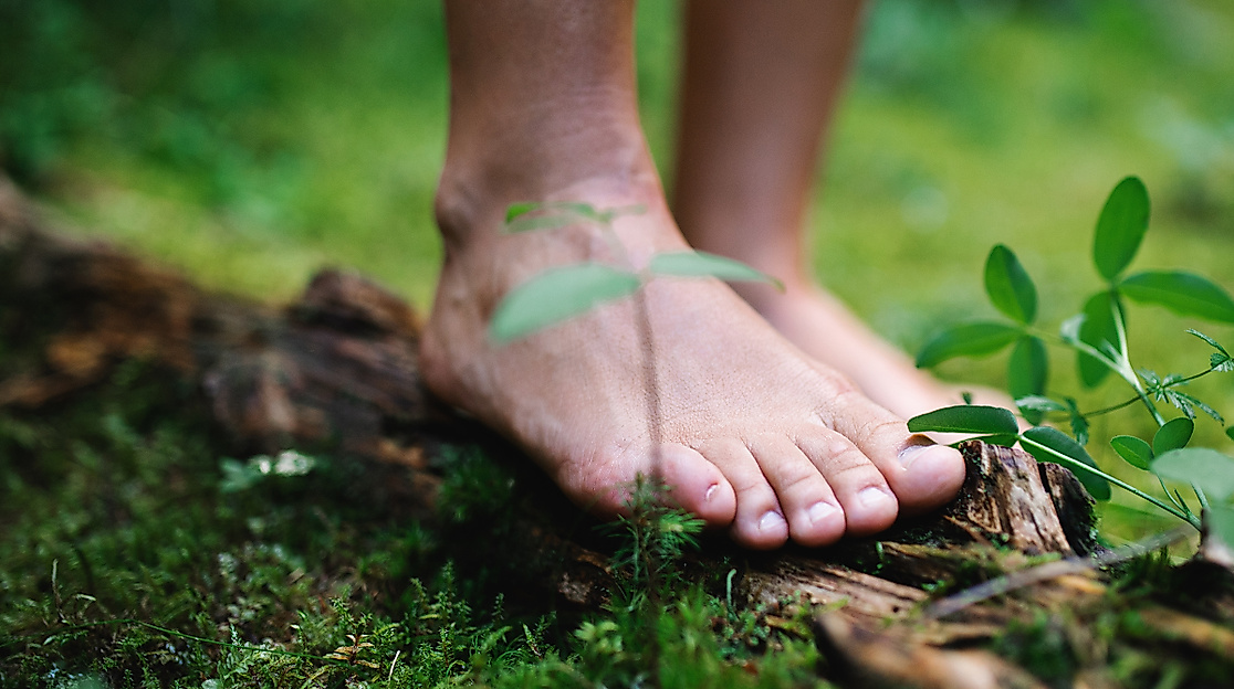 Waldbaden  und WAldtherapie Hamburg | waldimpuls-hamburg
