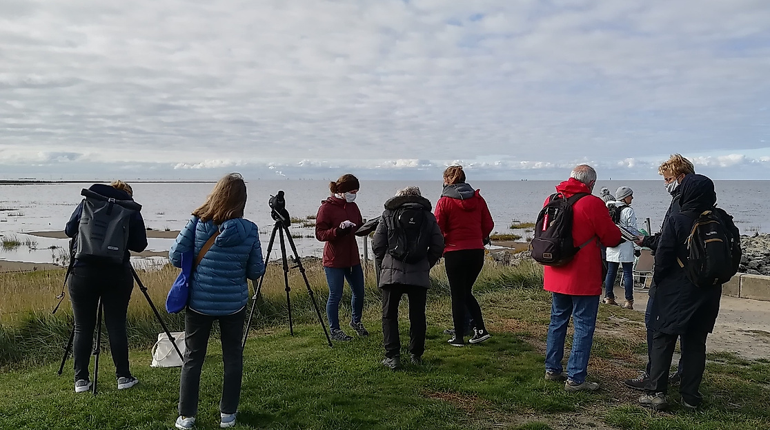 Mit den Junior Ranger*innen auf Zugvogel-Suche