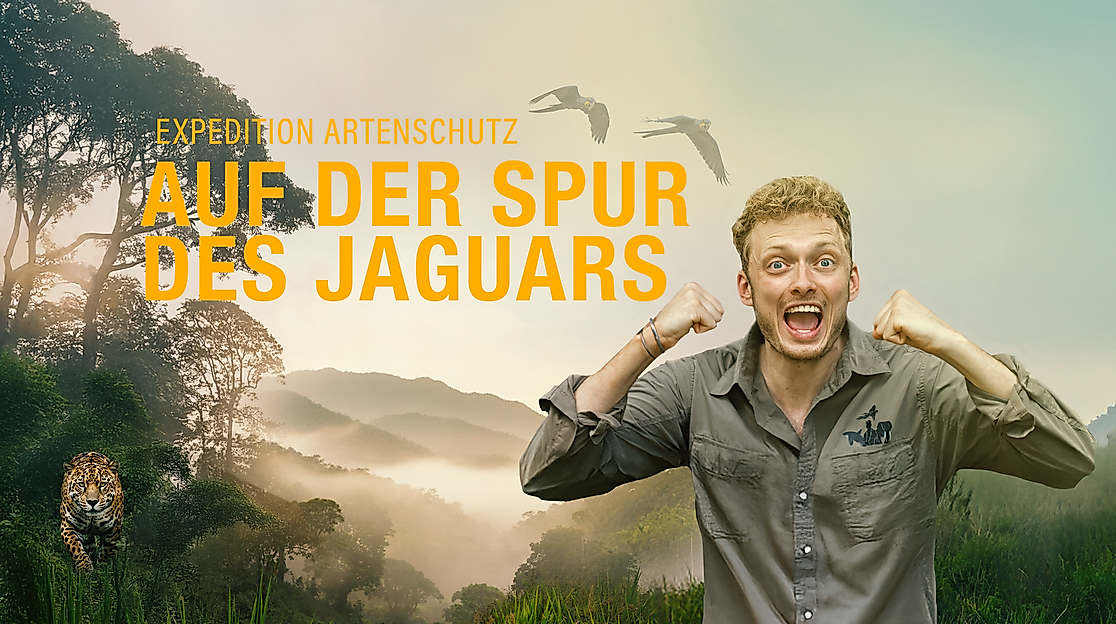 Expedition - Folge 2: Auf der Spur des Jaguars