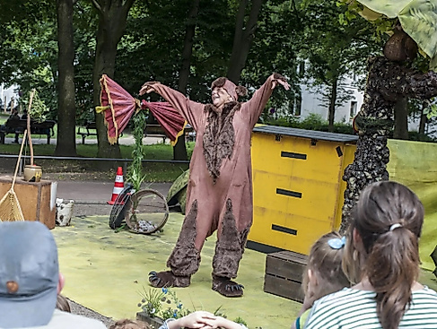 Der B&auml;r und die Bienen