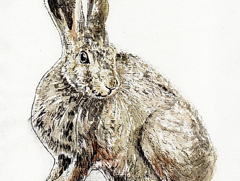 8-highspeed-migrant (tinte-auf-papier)