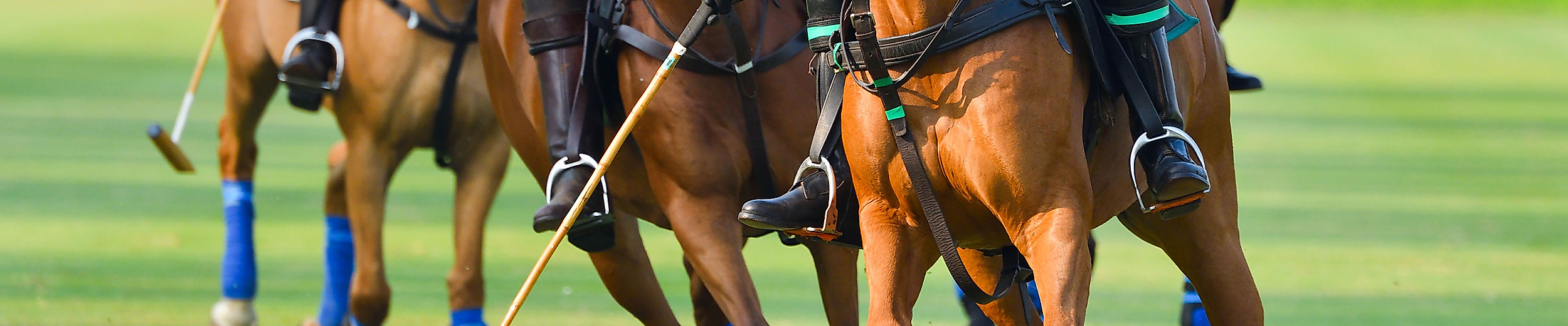 Polospiel