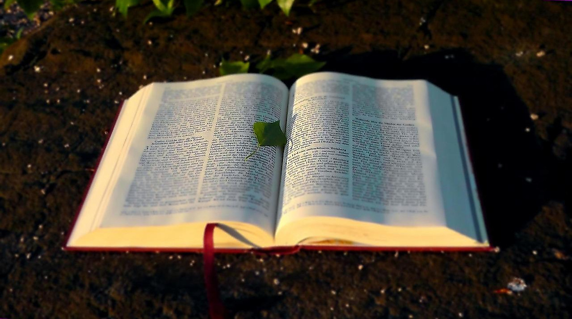 Aufgeschlagenes Buch