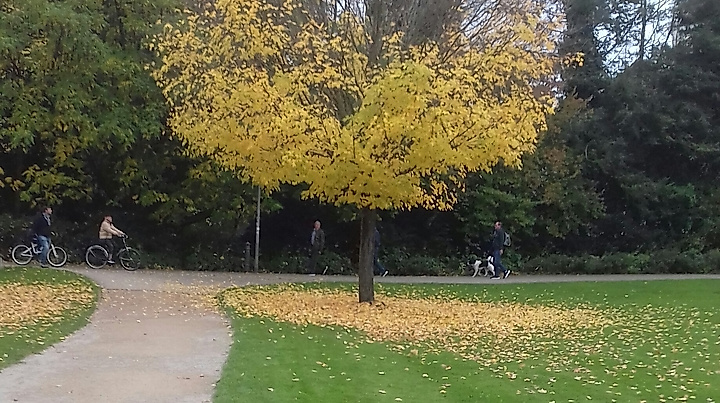 Goldener Oktober im Hamburger Westen