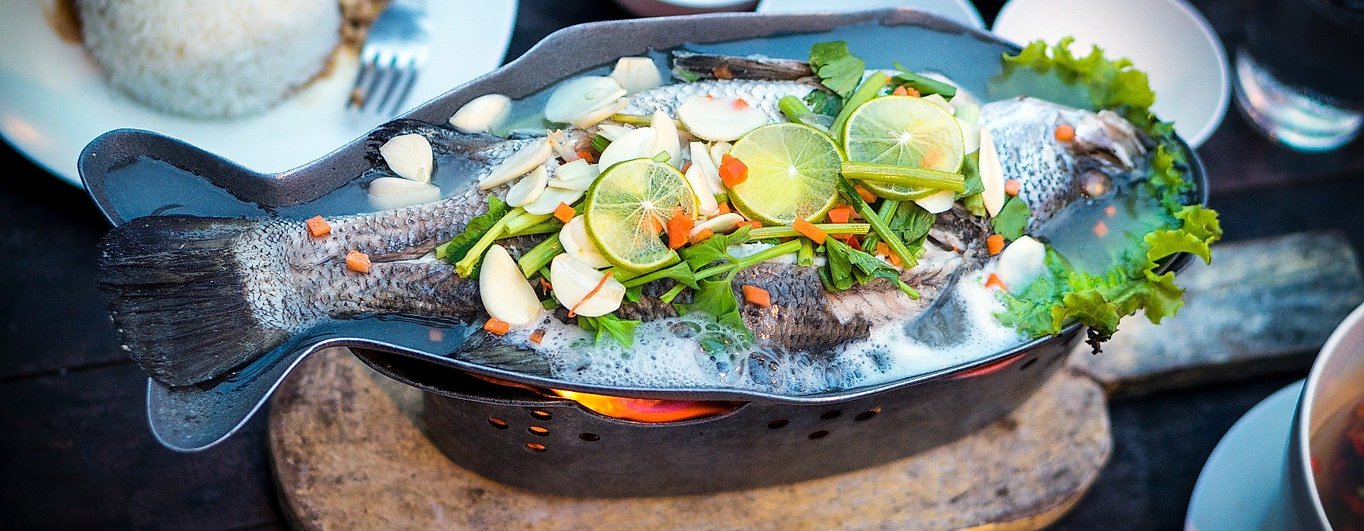 fish_c_arek-socha-pixabay