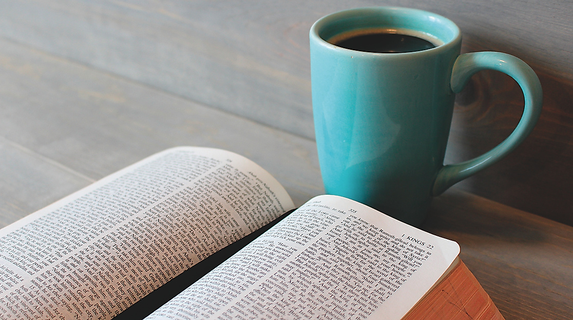 Bibel feministisch gelesen - Online-Bibelwerkstatt