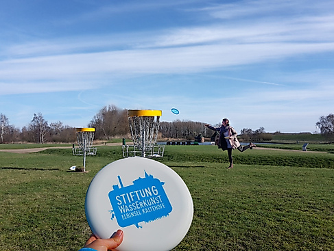 Discgolf_20170322_154543-Kopie-scaled
