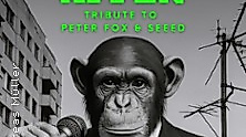 Stadtaffen - Tribute to Peter Fox & SEEED