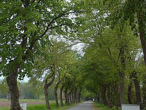 Lindenallee.Frankenfeld.Bahnhof-q