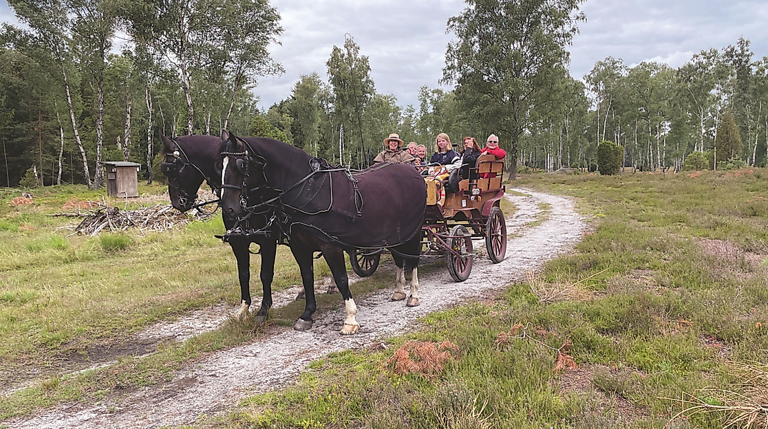 TZR_Kleine_Heiderundfahrt_202307251D5868_korr