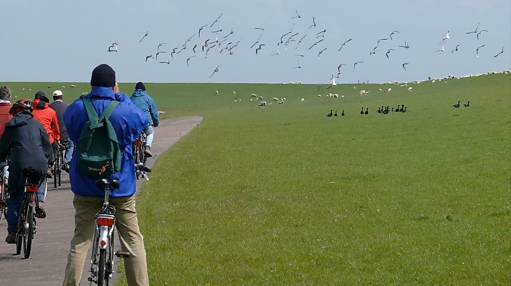 Radtour mit Vogelbeobachtung