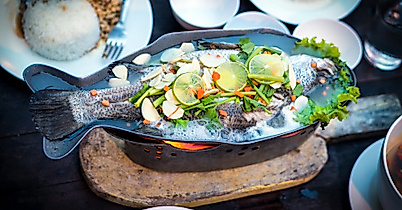 fish_c_arek-socha-pixabay