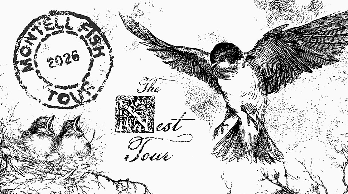 Montell Fish - The Nest Tour