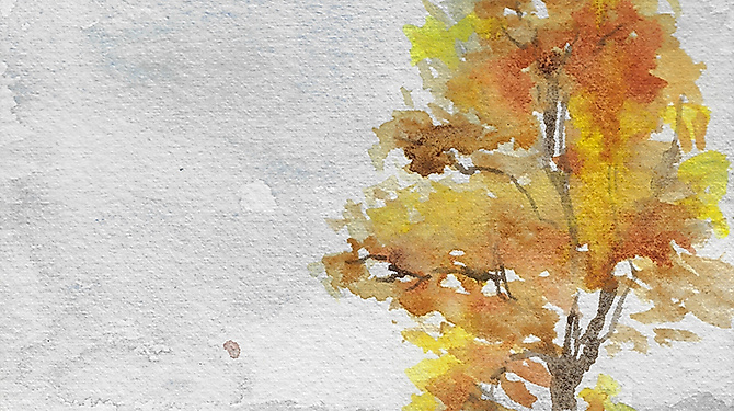 Herbstwald