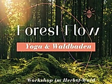 Yoga und Waldbaden im Herbstwald