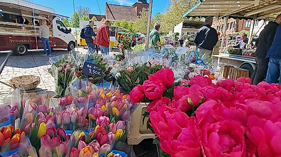 Blumen auf dem Wochenmarkt
