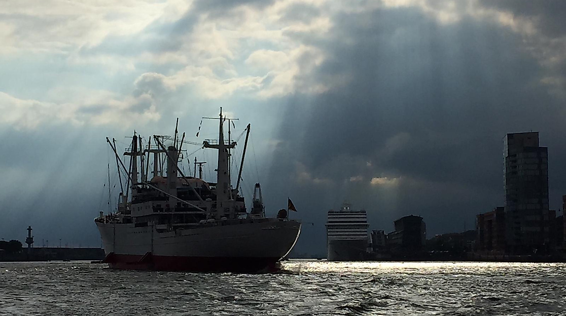 2019_Boot_Foto_Tom_Synnatzschke