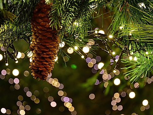 Weihnachtsmarkt in Bispingen