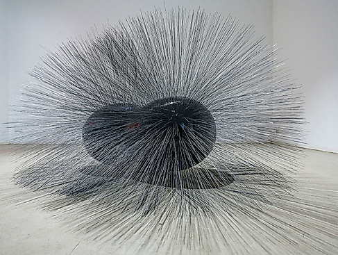 Sichtung einer Sache