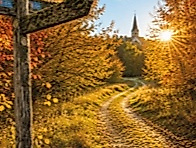 Waldweg