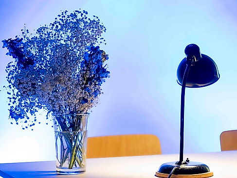 X01_i'm growing fur 3 - AtelierRosaCesaro