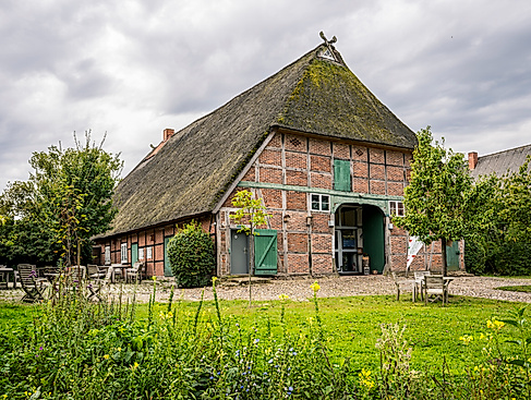 Filmvortrag - „Tiere der Elbtalaue“