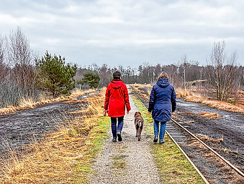 Spaziergang für trauernde Menschen durch das Himmelmoor