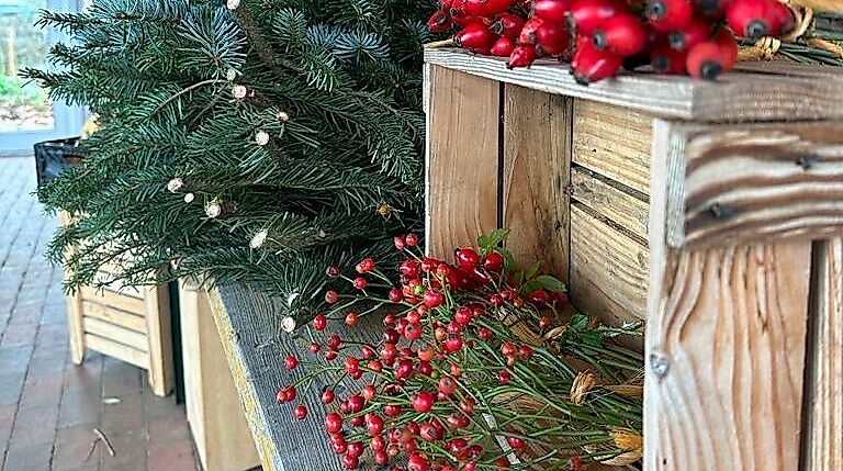 Hof an den Teichen, Advents-Markt