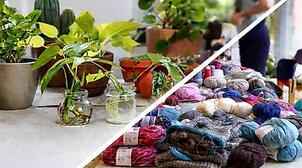 Handarbeitshafen trifft Pflanzentauschmarkt & Art Jam