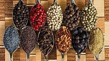 26-01-27 Gewürze & Farben pixabay