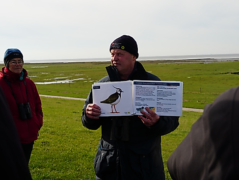 Mit dem Nationalpark-Ranger zu den Zugvögeln an der Wurster Nordseeküste