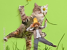 Pettersson und Findus und der Hahn im Korb